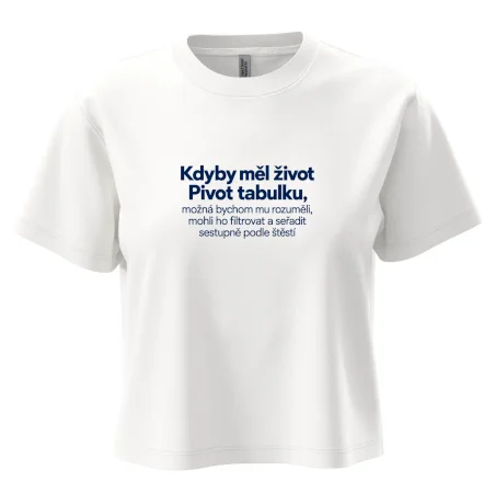 Kdyby měl život pivot tabulku