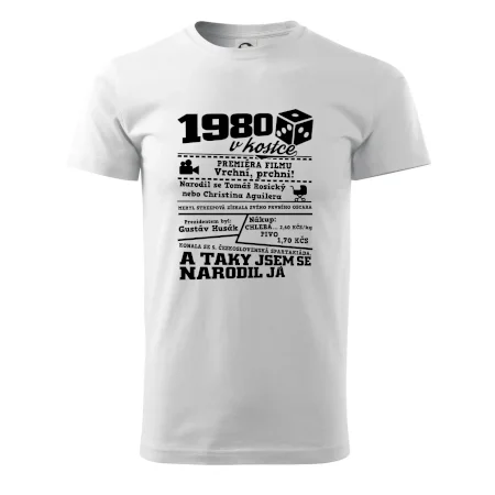 1980 v kostce