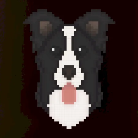 Border kolie Pixel