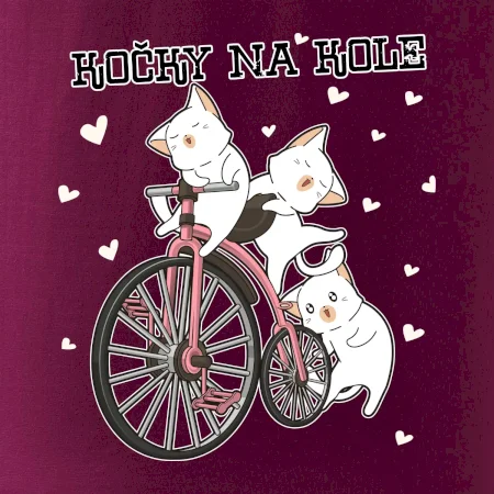 Kočky na kole