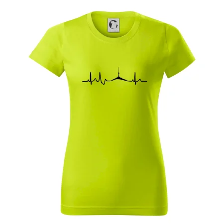 Ekg Jeseníky