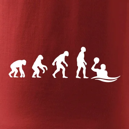 Evoluce Vodní pólo