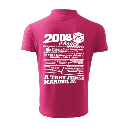 2008 v kostce