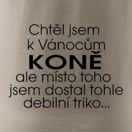 Chtěl jsem dostat k Vánocům koně