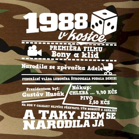1988 v kostce