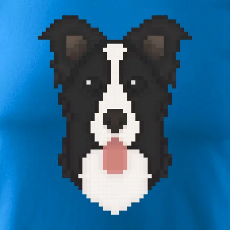 Border kolie Pixel