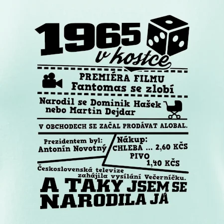 1965 v kostce