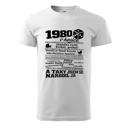 1980 v kostce