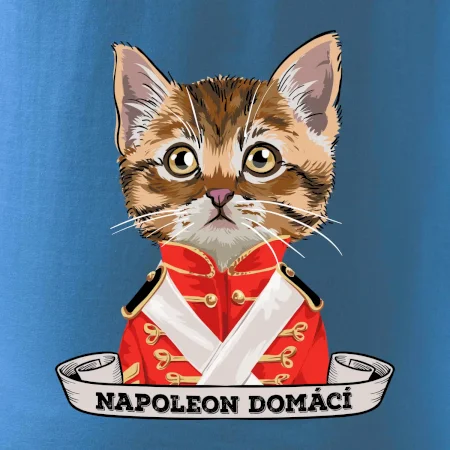 Napoleon domácí kočka