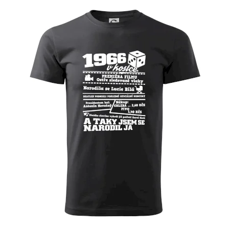 1966 v kostce