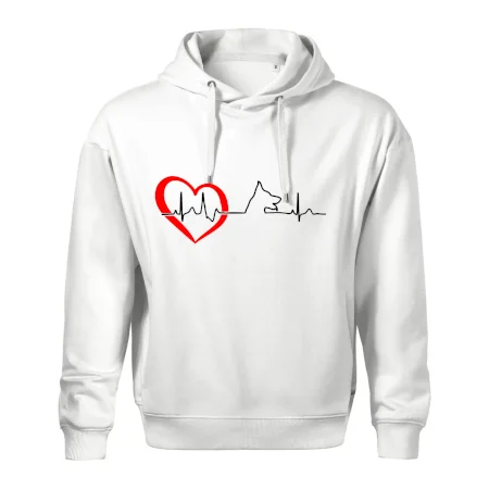 Německý ovčák ekg