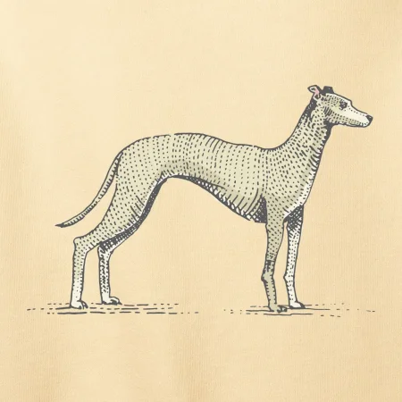 Vintage Whippet