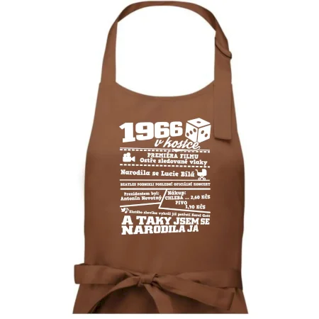1966 v kostce