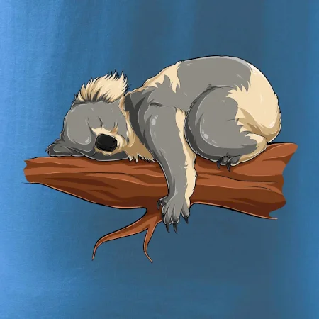 Koala na větvi