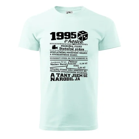 1995 v kostce