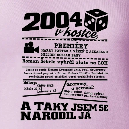 2004 v kostce