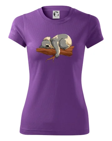 Koala na větvi