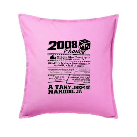 2008 v kostce
