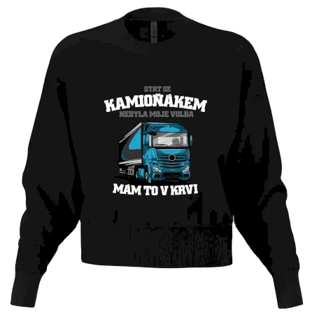 Stát se kamioňákem nebyla moje volba