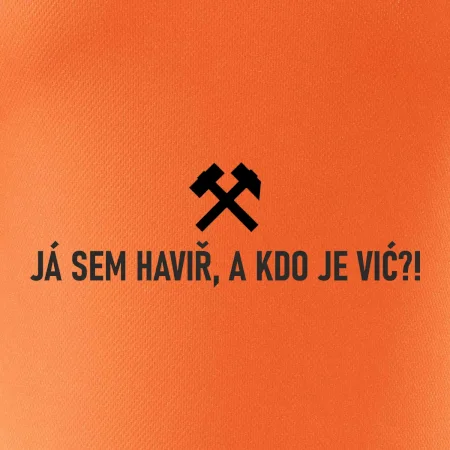 JÁ SEM HAVIŘ, A KDO JE VIĆ?!﻿