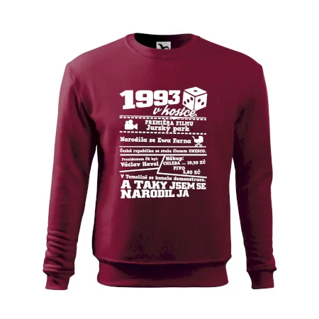 1993 v kostce