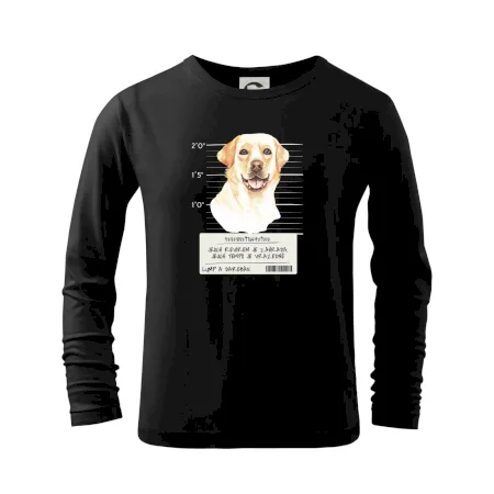 Lump a darebák labrador