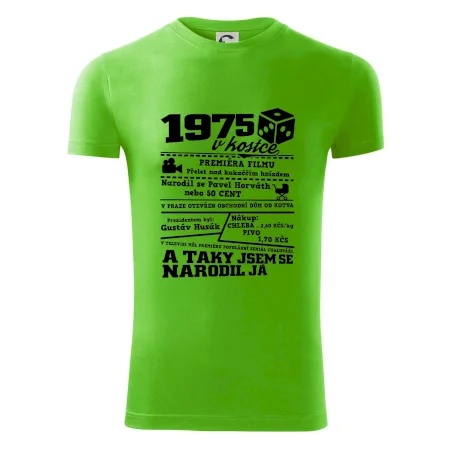 1975 v kostce