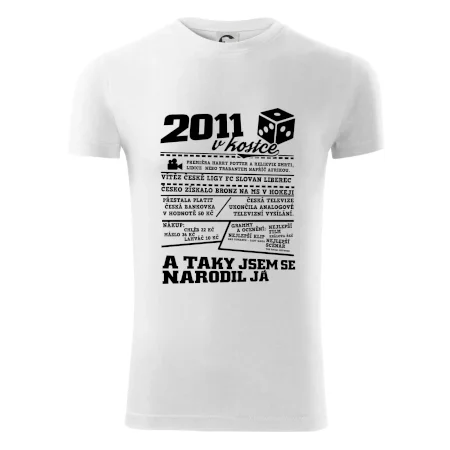 2011 v kostce