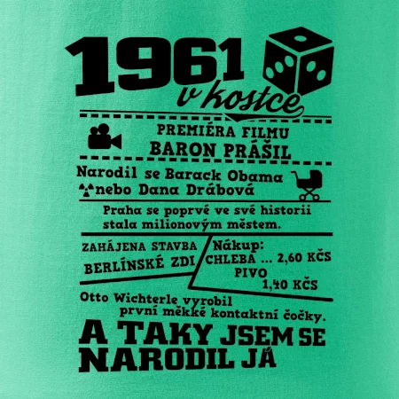 1961 v kostce