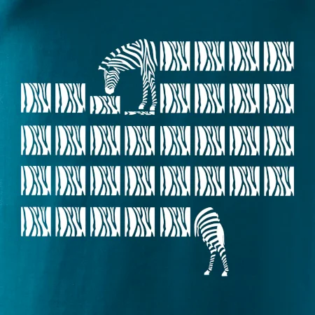 Zebra dlouhá