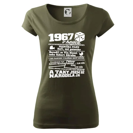 1967 v kostce