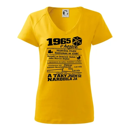 1965 v kostce
