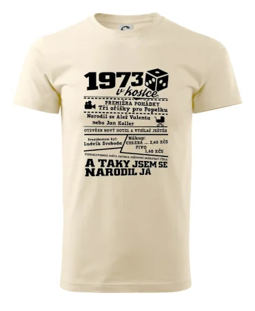 1973 v kostce