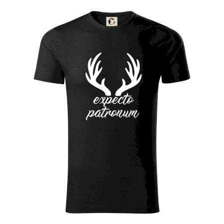 Harry - Expecto patronum
