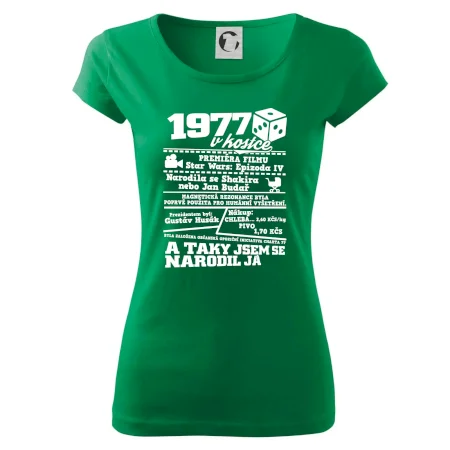 1977 v kostce