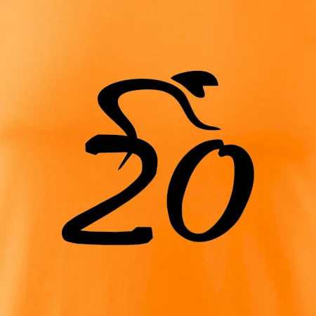 Cyklista slaví dvacítku (20)