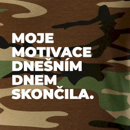MOJE MOTIVACE DNEŠNÍM DNEM SKONČILA.