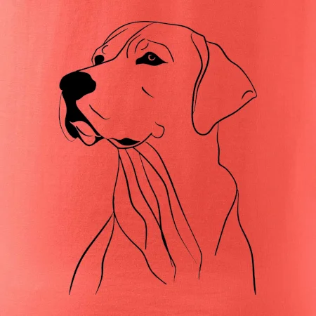 Labrador černá kresba