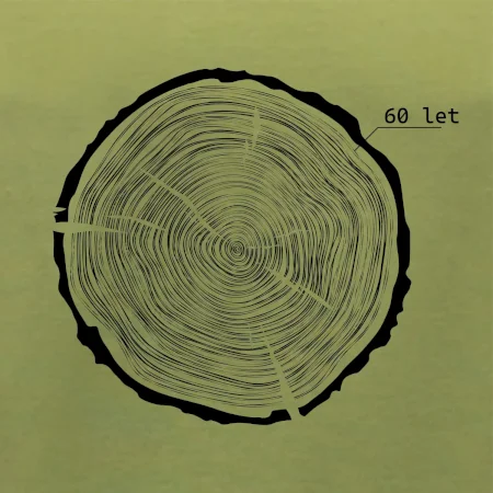 Letokruhy - 60