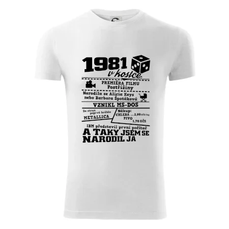 1981 v kostce