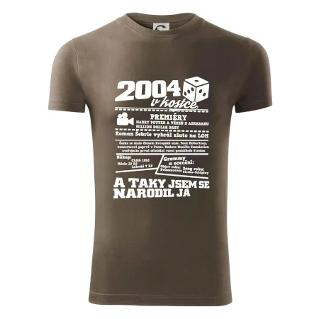 2004 v kostce