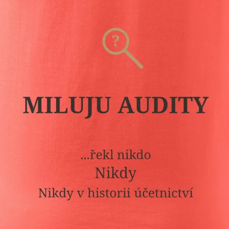 Miluju audity řekl nikdo nikdy