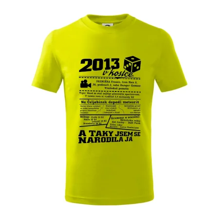 2013 v kostce