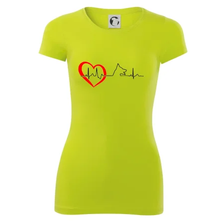 Německý ovčák ekg