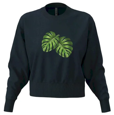 Monstera - dva listy