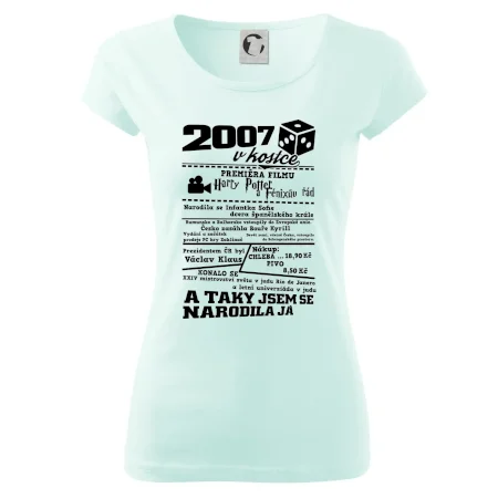 2007 v kostce