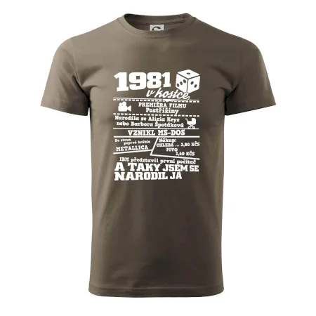 1981 v kostce