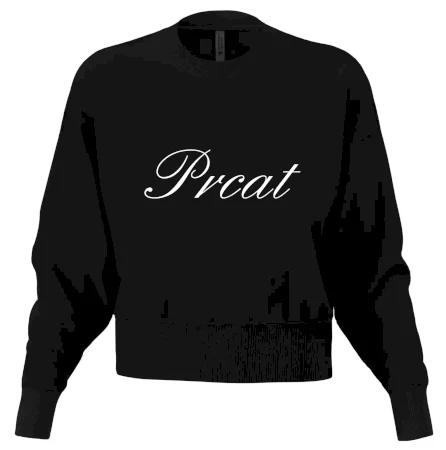 Prcat (souložit vulgárně)