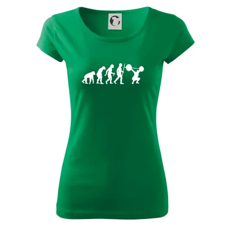 Evolution fitness
