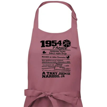 1954 v kostce